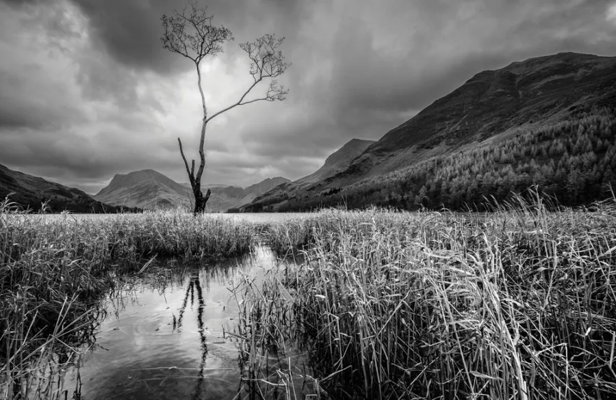The Art Of Black And White Landscape Photography Tourist Gems The Art Of Black And White Landscape Photography Tourist Gems